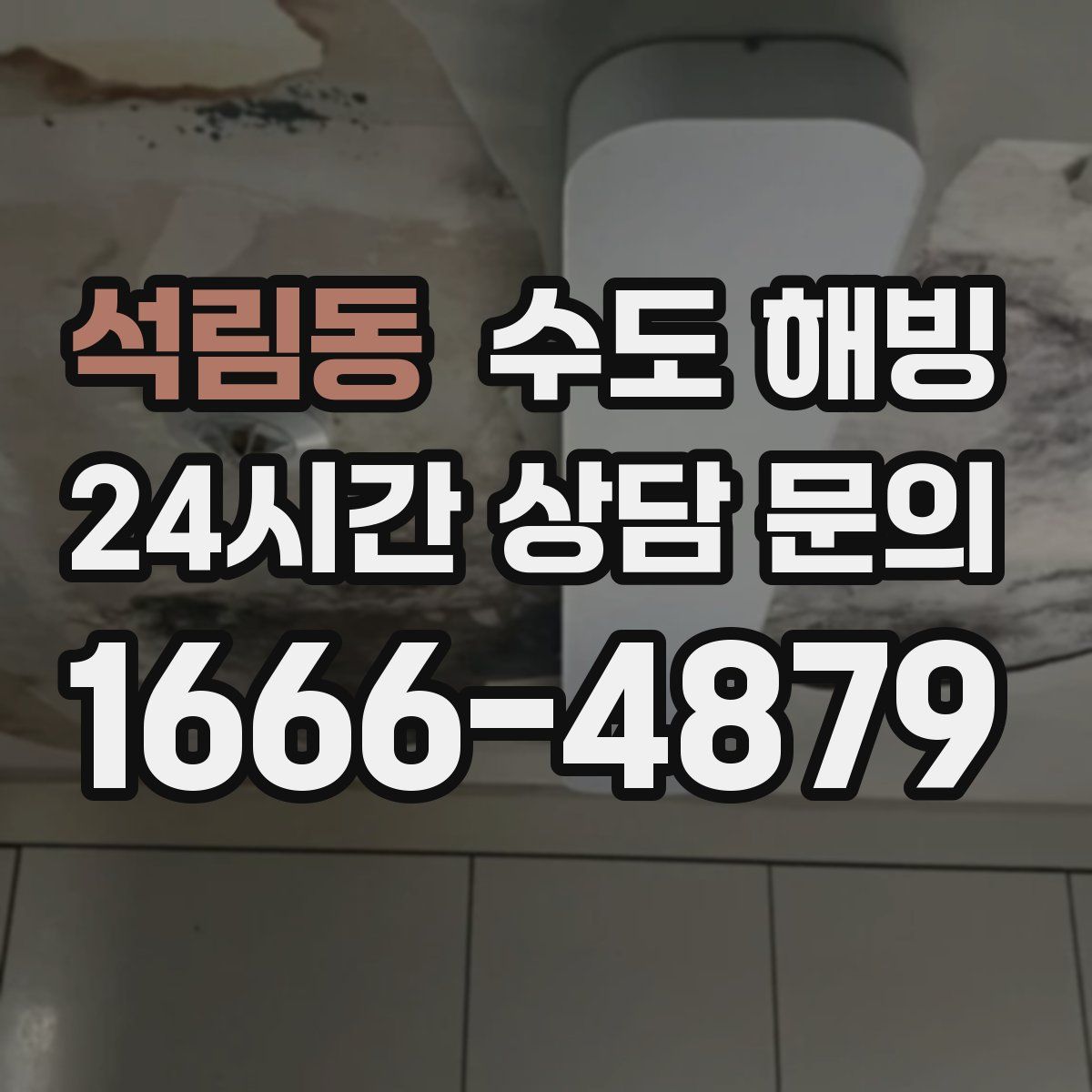 석림동 수도 해빙