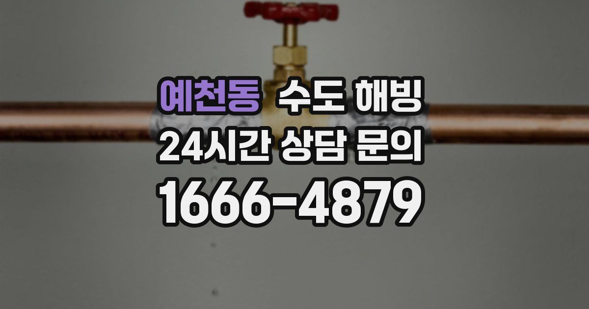 예천동 수도 해빙