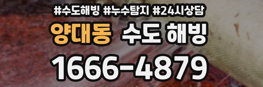 양대동 수도 해빙