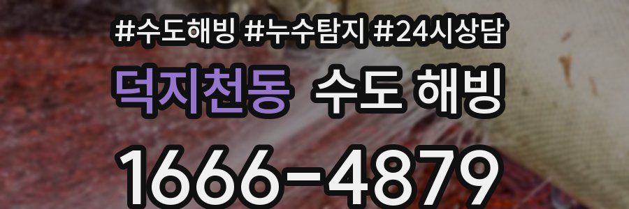 덕지천동 수도 해빙