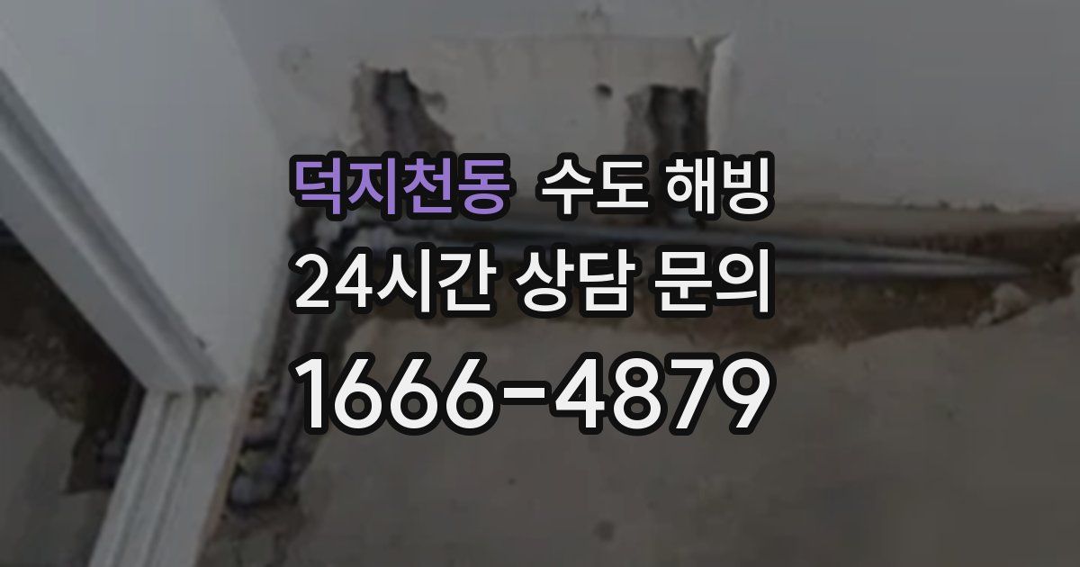 덕지천동 수도 해빙