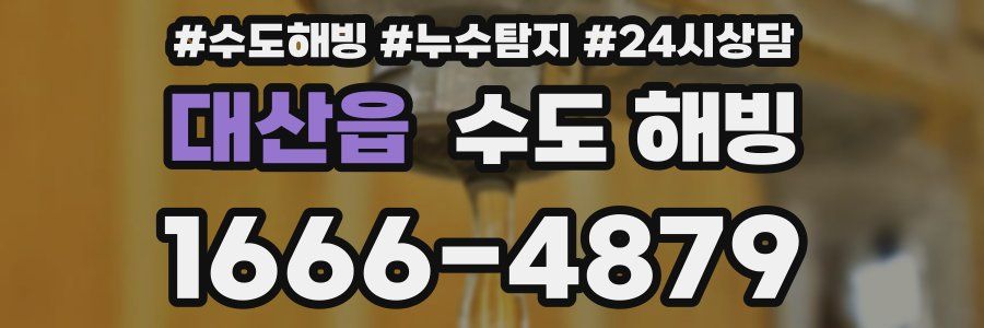 대산읍 수도 해빙