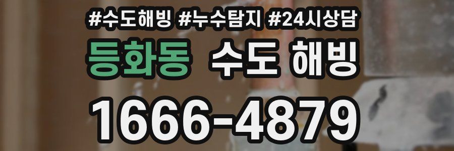 등화동 수도 해빙