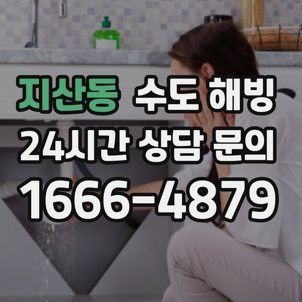 지산동 수도 해빙