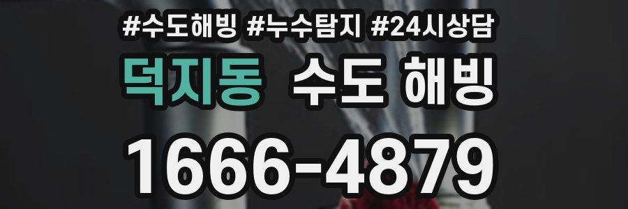 덕지동 수도 해빙