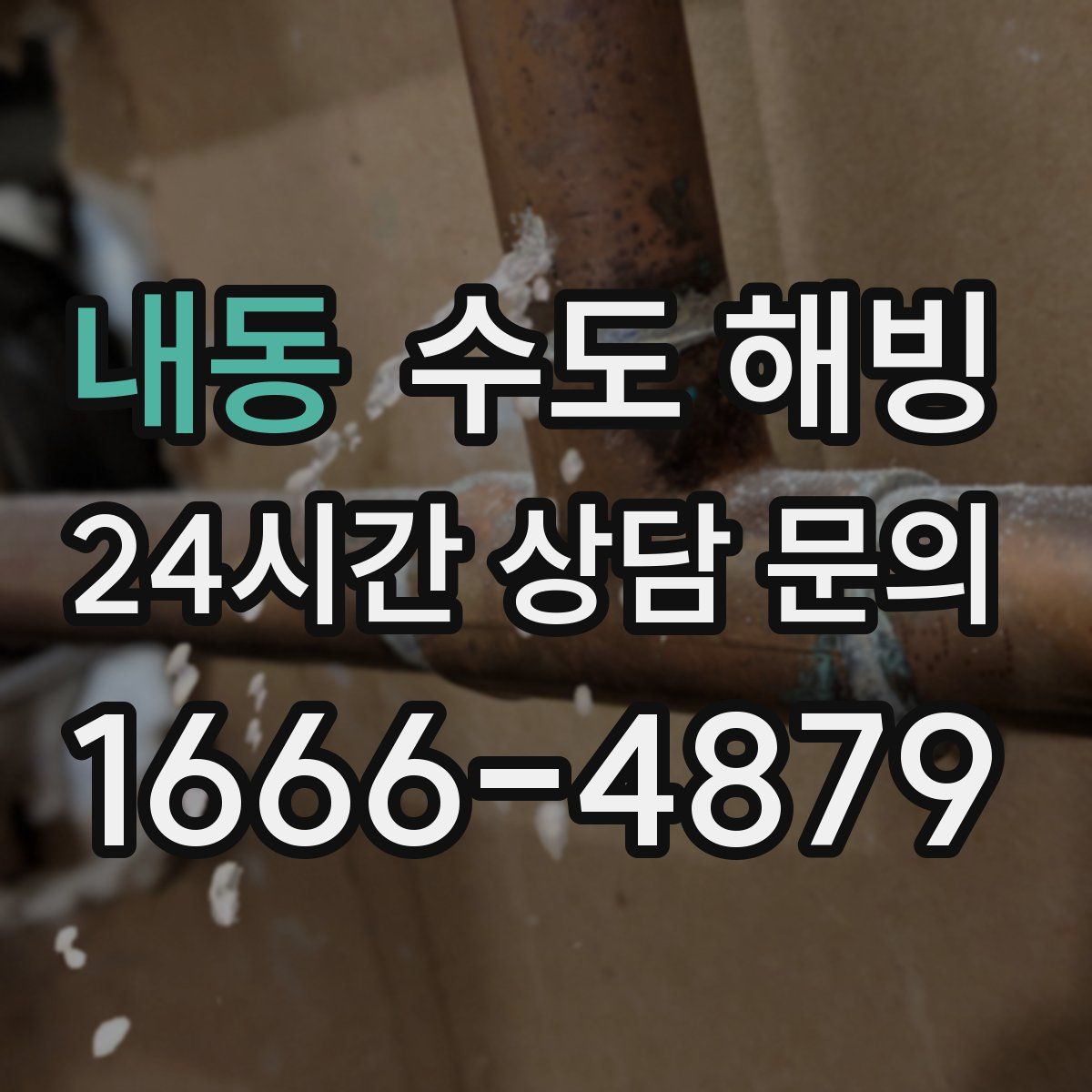 내동 수도 해빙