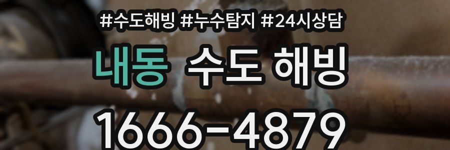 내동 수도 해빙