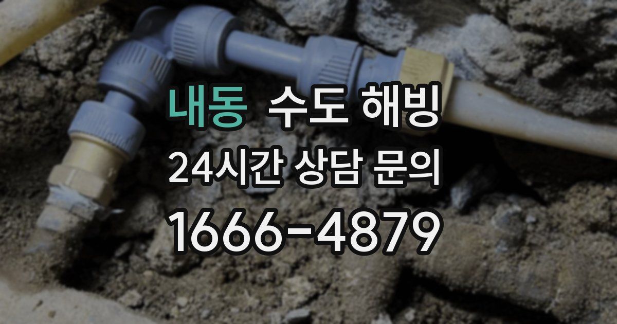 내동 수도 해빙