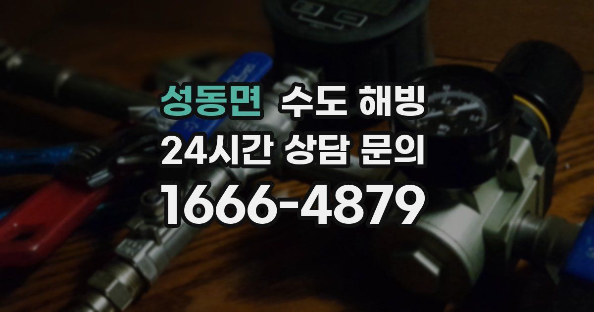 성동면 수도 해빙