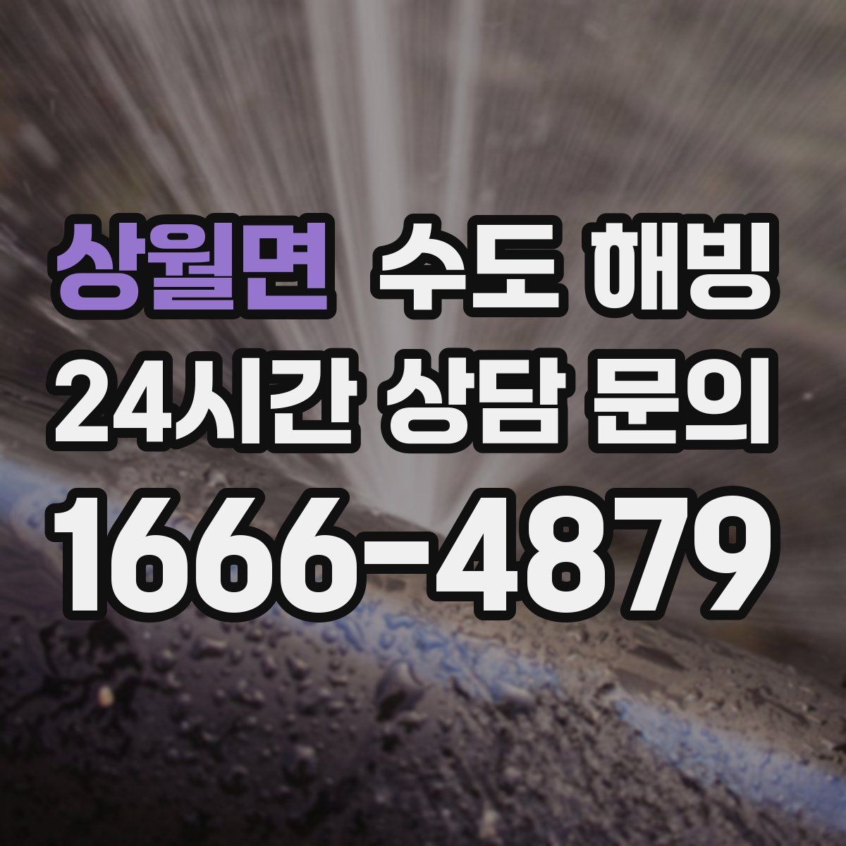 상월면 수도 해빙