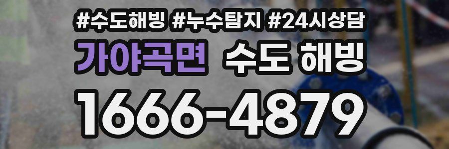 가야곡면 수도 해빙