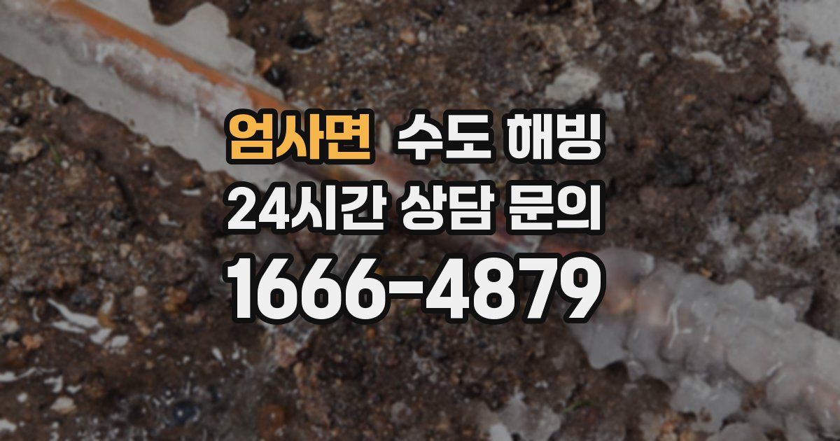 엄사면 수도 해빙