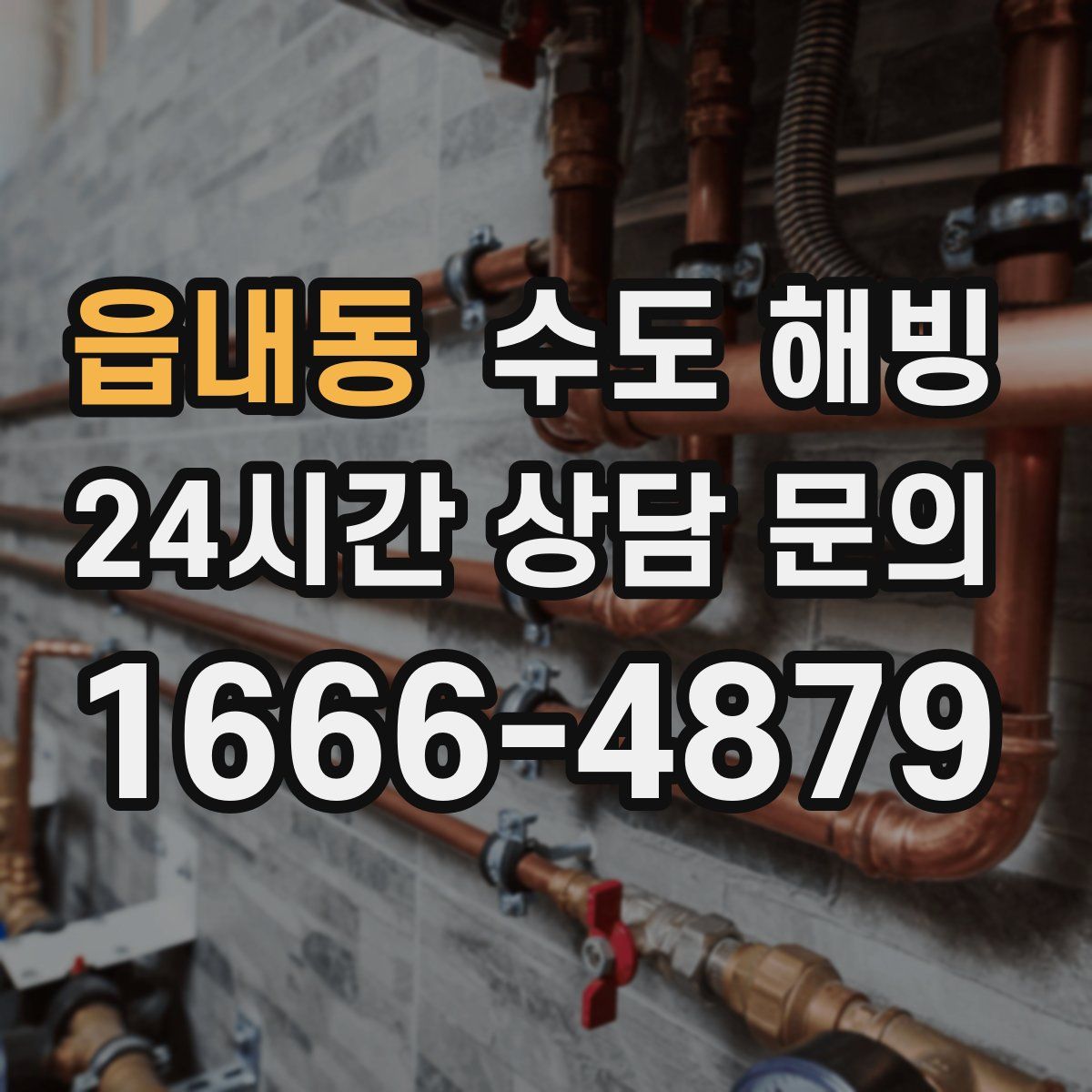 읍내동 수도 해빙