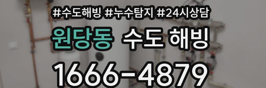 원당동 수도 해빙