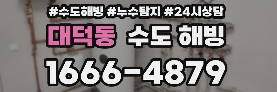 대덕동 수도 해빙
