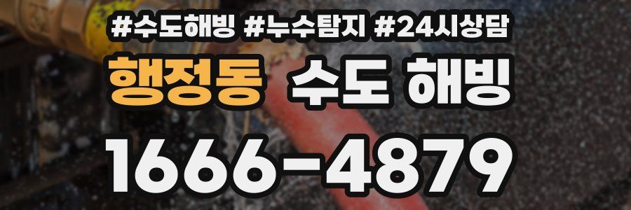 행정동 수도 해빙