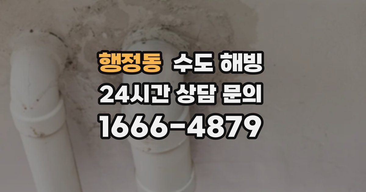 행정동 수도 해빙