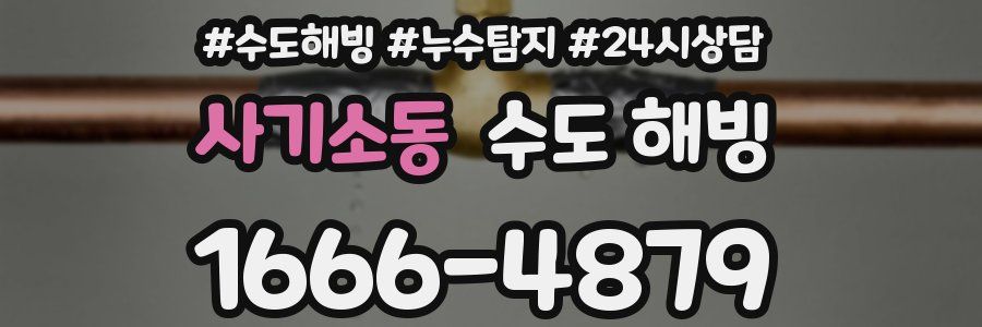 사기소동 수도 해빙