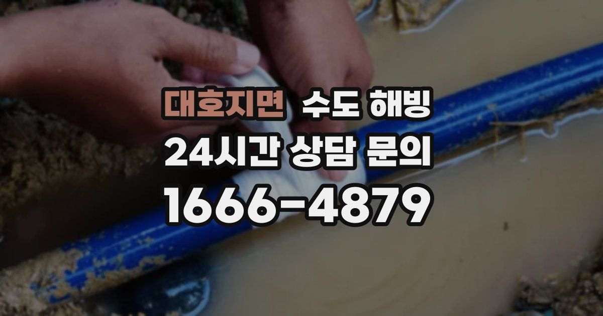 대호지면 수도 해빙