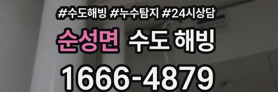 순성면 수도 해빙