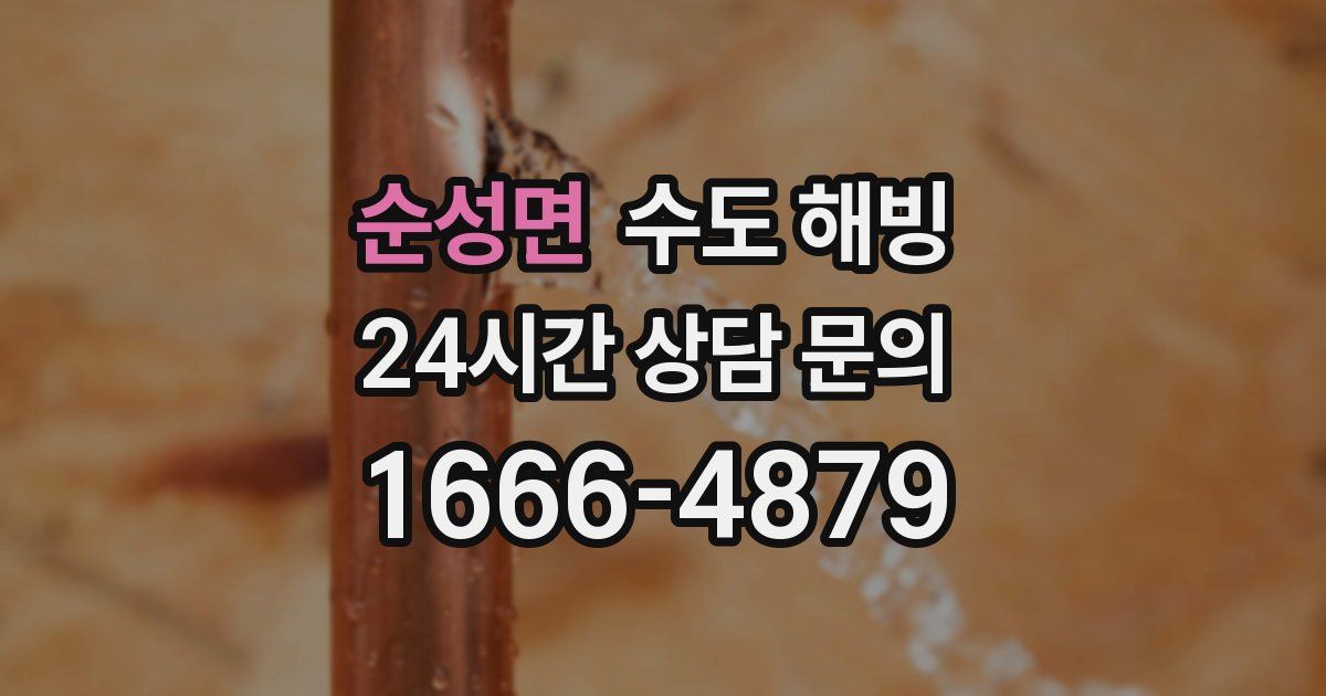 순성면 수도 해빙