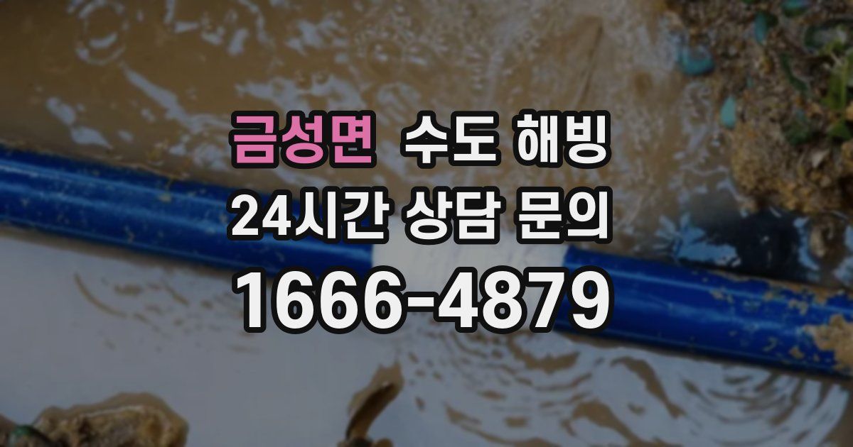 금성면 수도 해빙