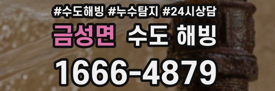 금성면 수도 해빙