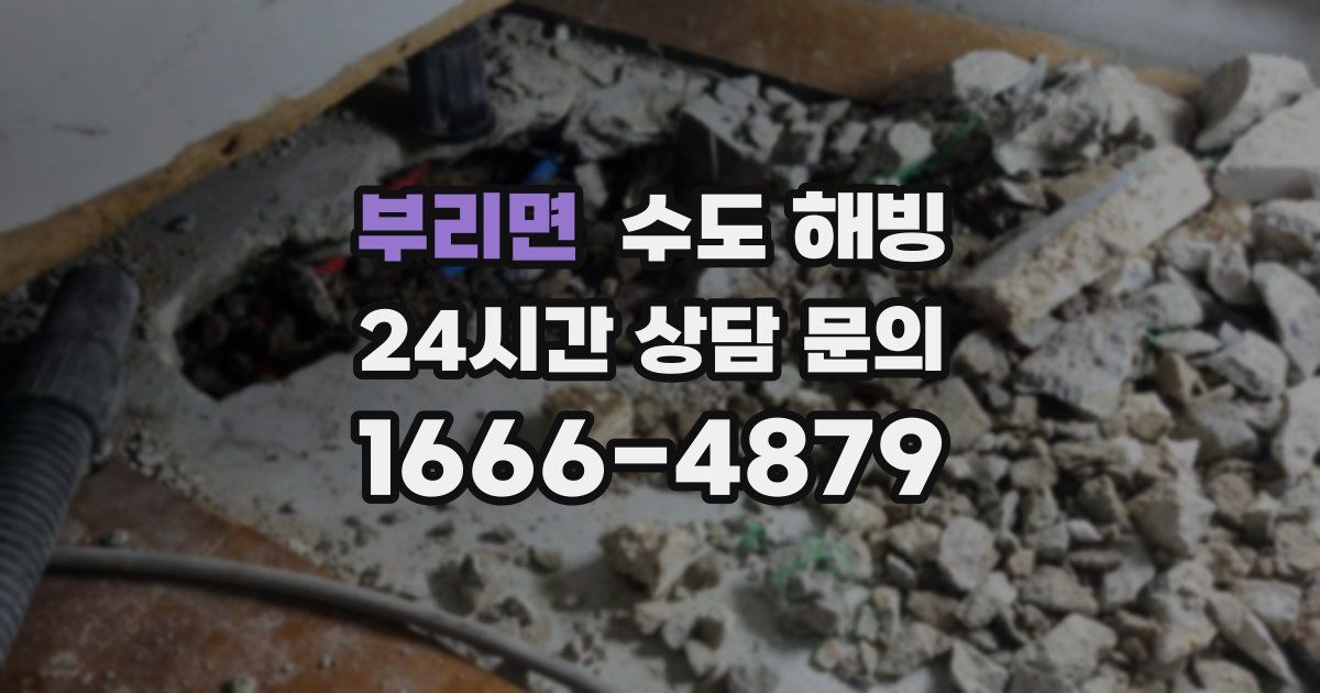 부리면 수도 해빙