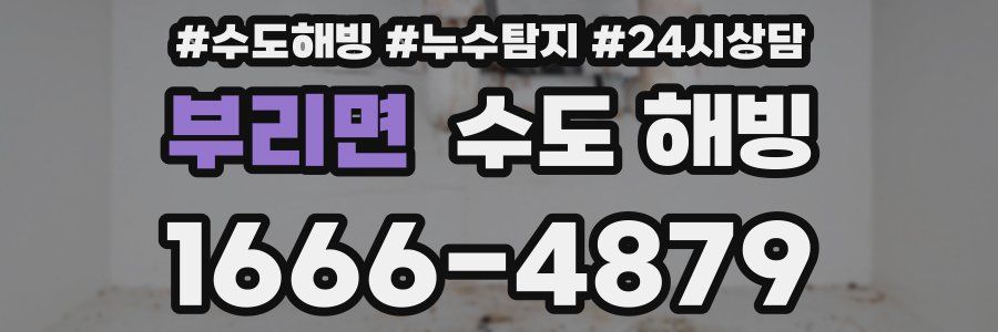 부리면 수도 해빙