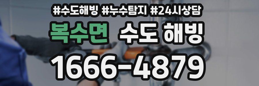 복수면 수도 해빙