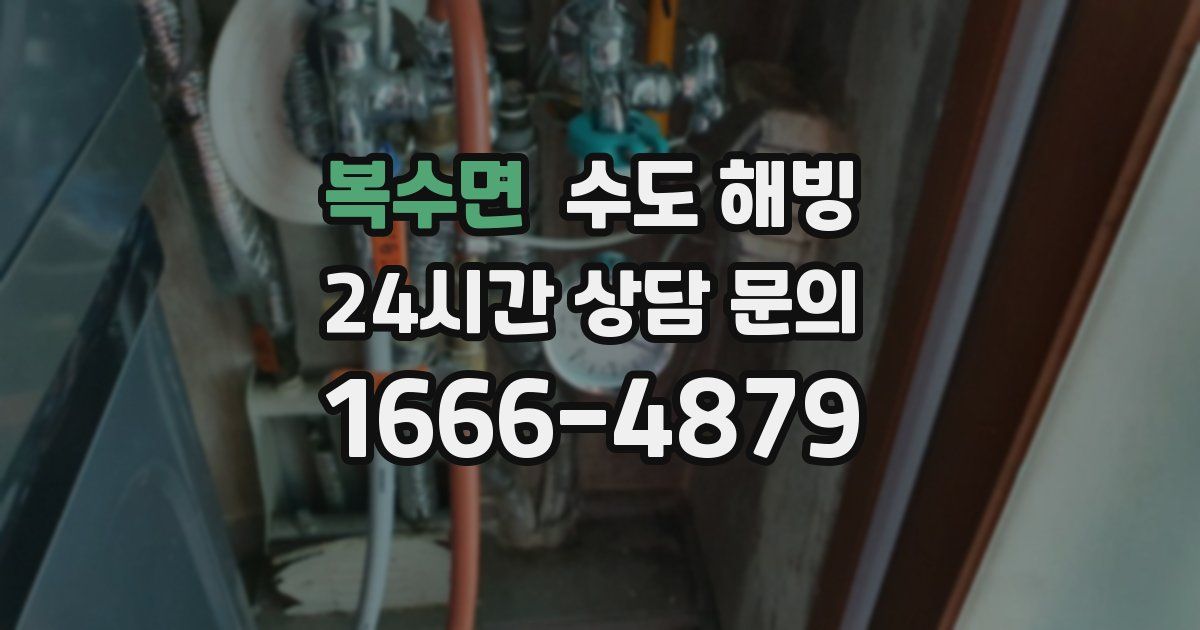 복수면 수도 해빙