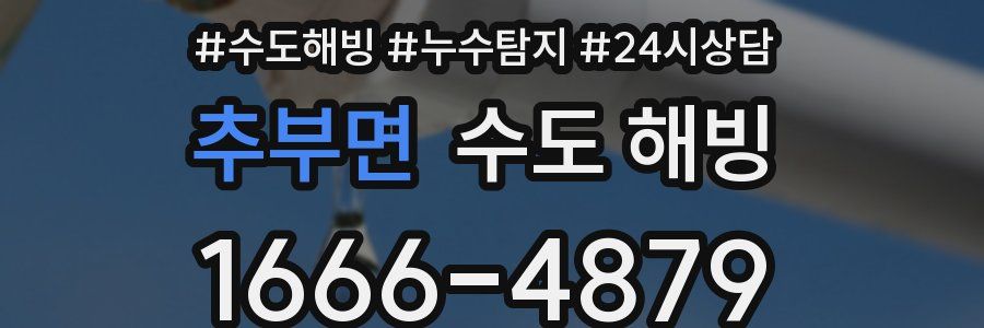 추부면 수도 해빙