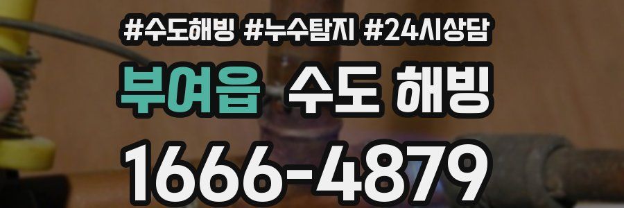 부여읍 수도 해빙