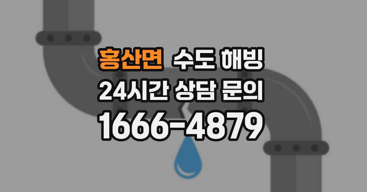 홍산면 수도 해빙