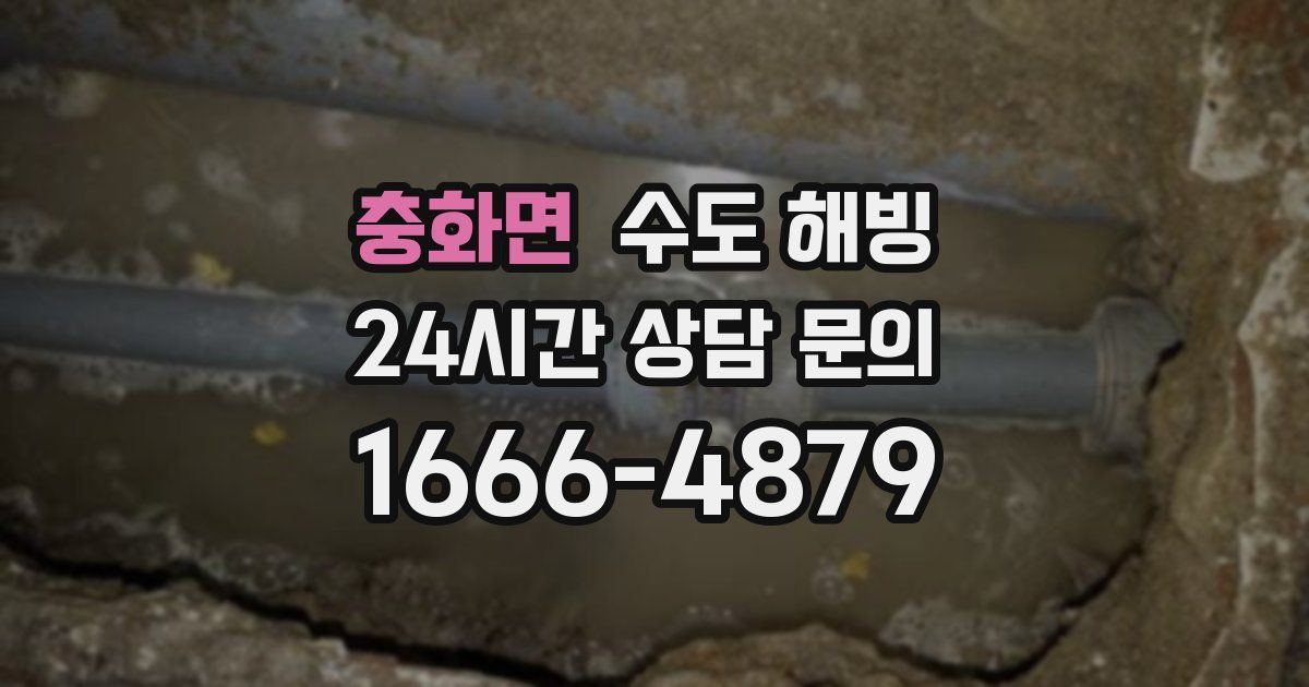 충화면 수도 해빙