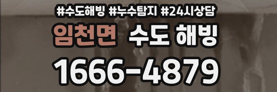 임천면 수도 해빙