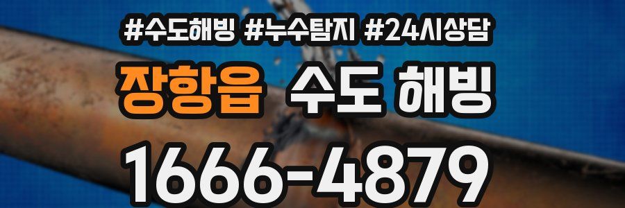 장항읍 수도 해빙