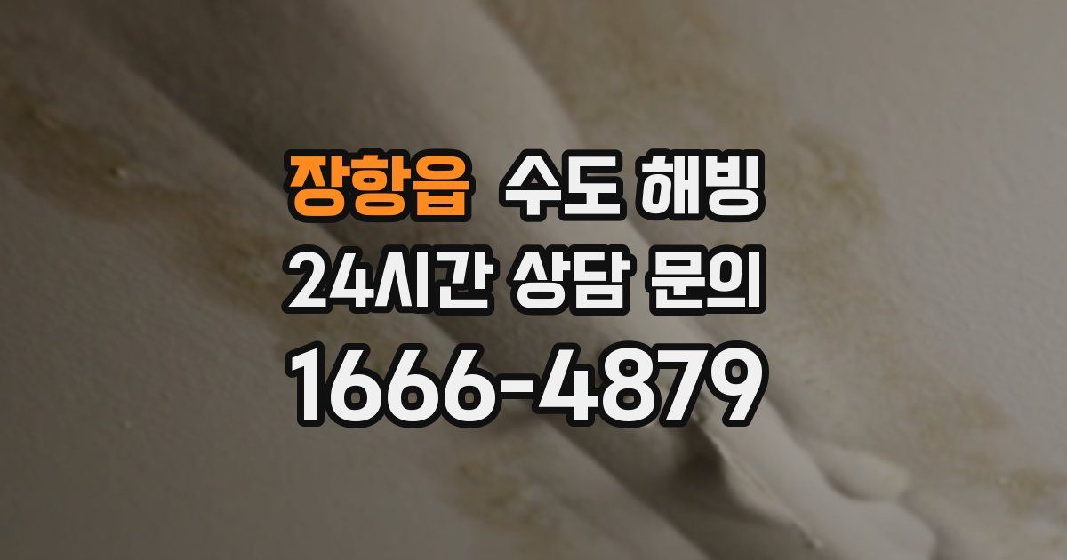 장항읍 수도 해빙