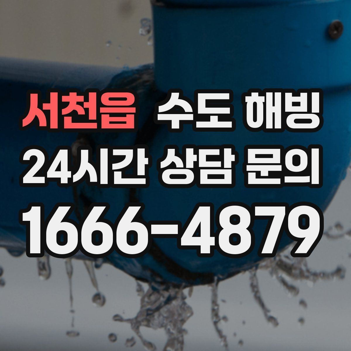 서천읍 수도 해빙 두 곳 이상 동시에 얼었을 때 확인 순서