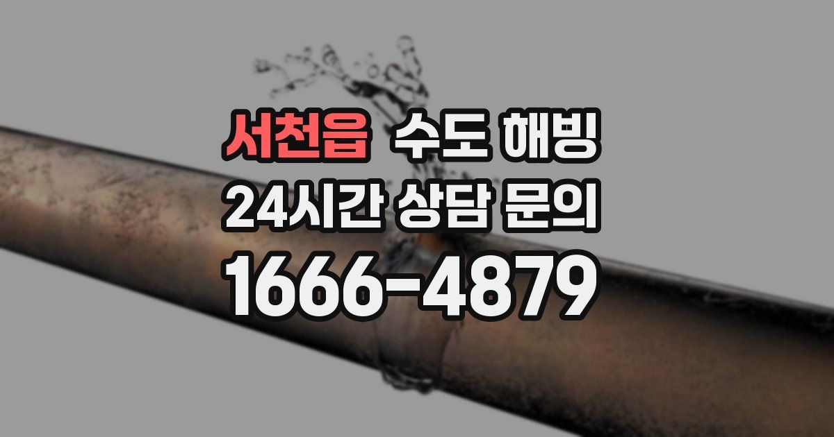 서천읍 수도 해빙