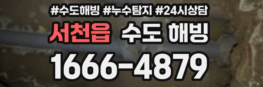 서천읍 수도 해빙