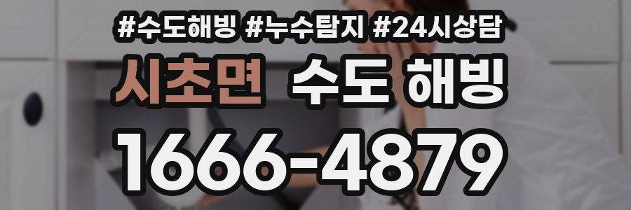 시초면 수도 해빙