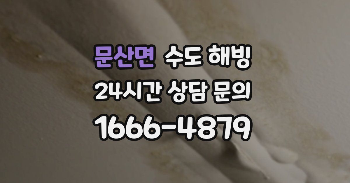 문산면 수도 해빙