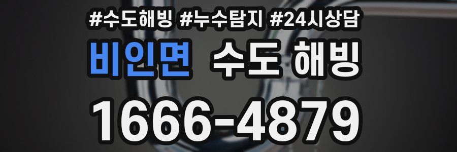 비인면 수도 해빙