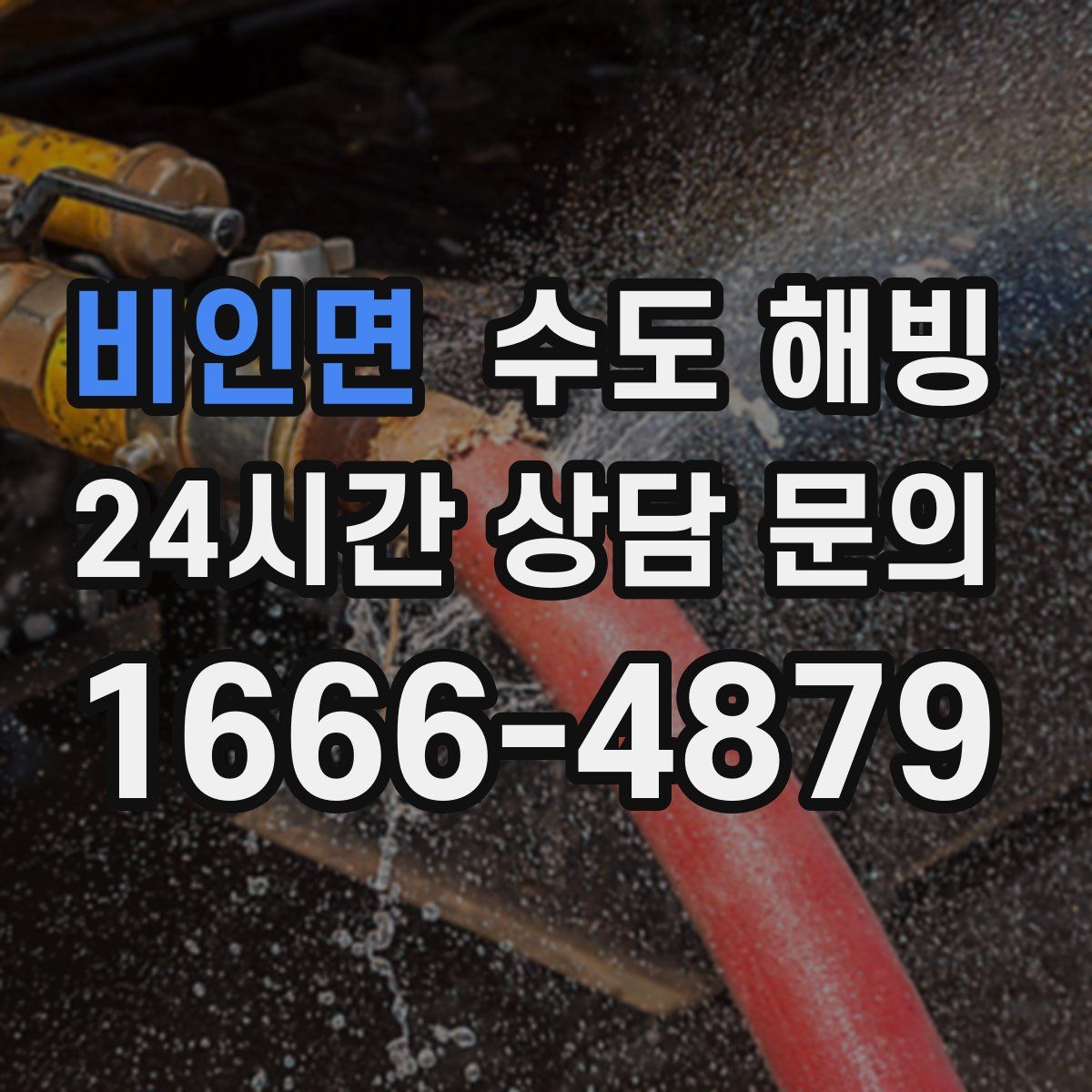 비인면 수도 해빙