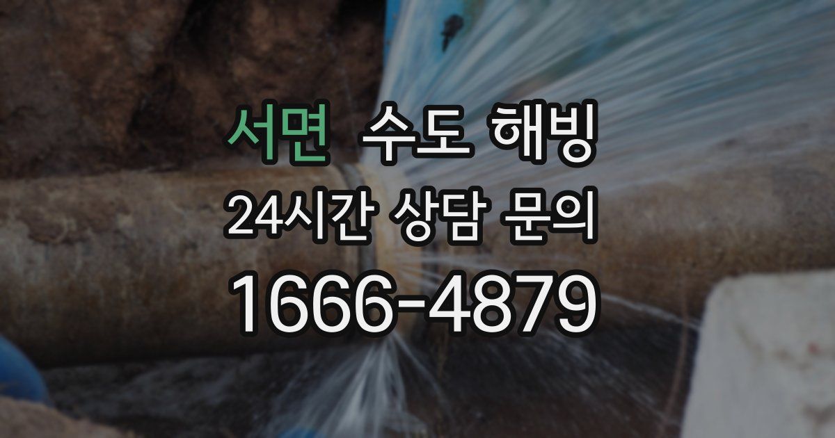 서면 수도 해빙