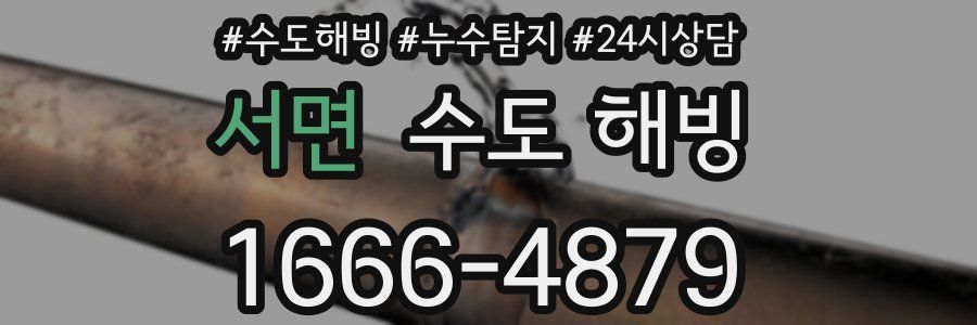 서면 수도 해빙