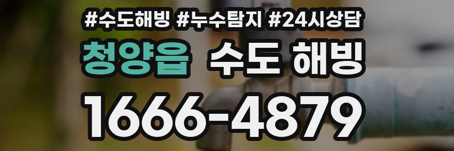 청양읍 수도 해빙