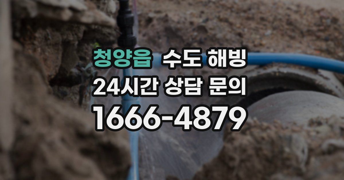 청양읍 수도 해빙