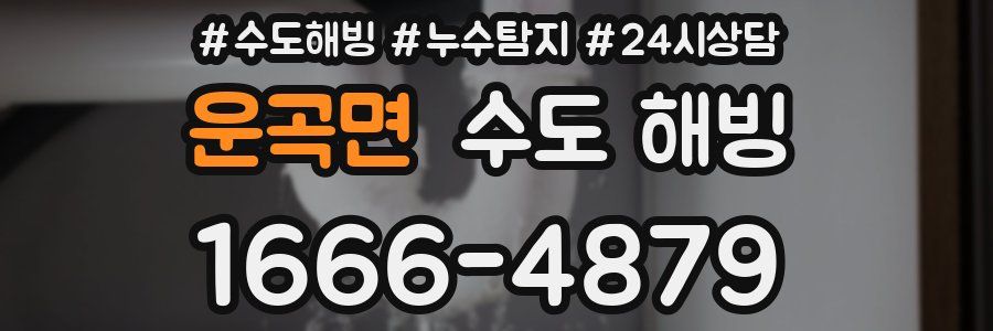 운곡면 수도 해빙